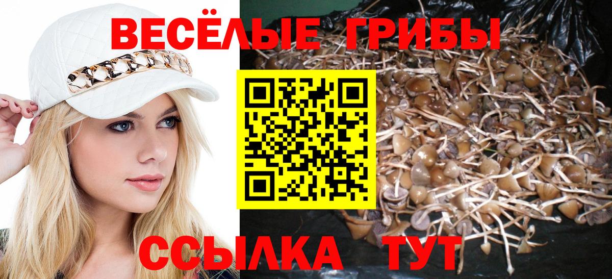 купить   Галлюциногенные грибы мицелий  Вход с VPN  Ишимбай 